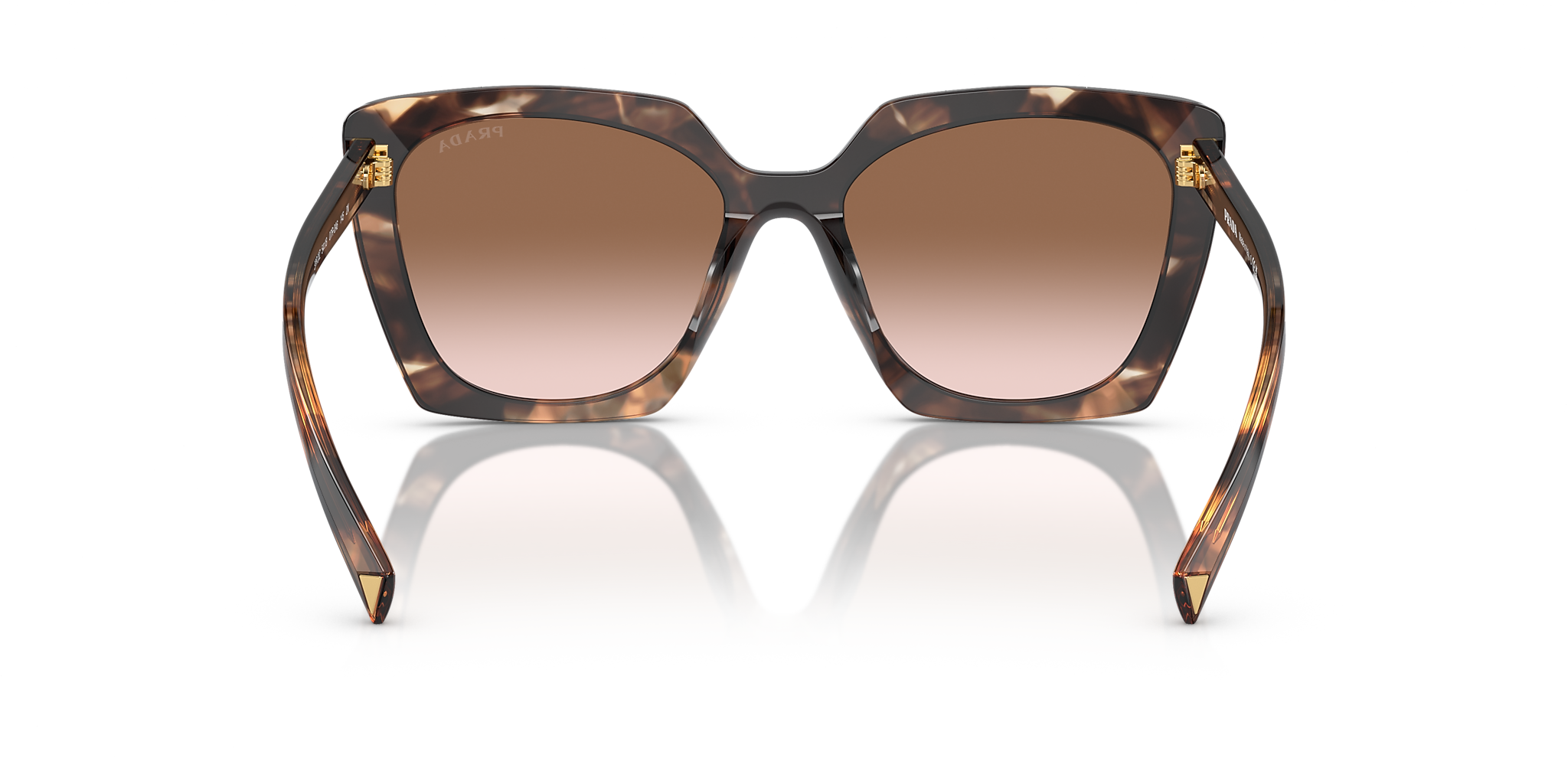 Caramel Tortoise