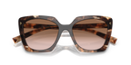 Caramel Tortoise