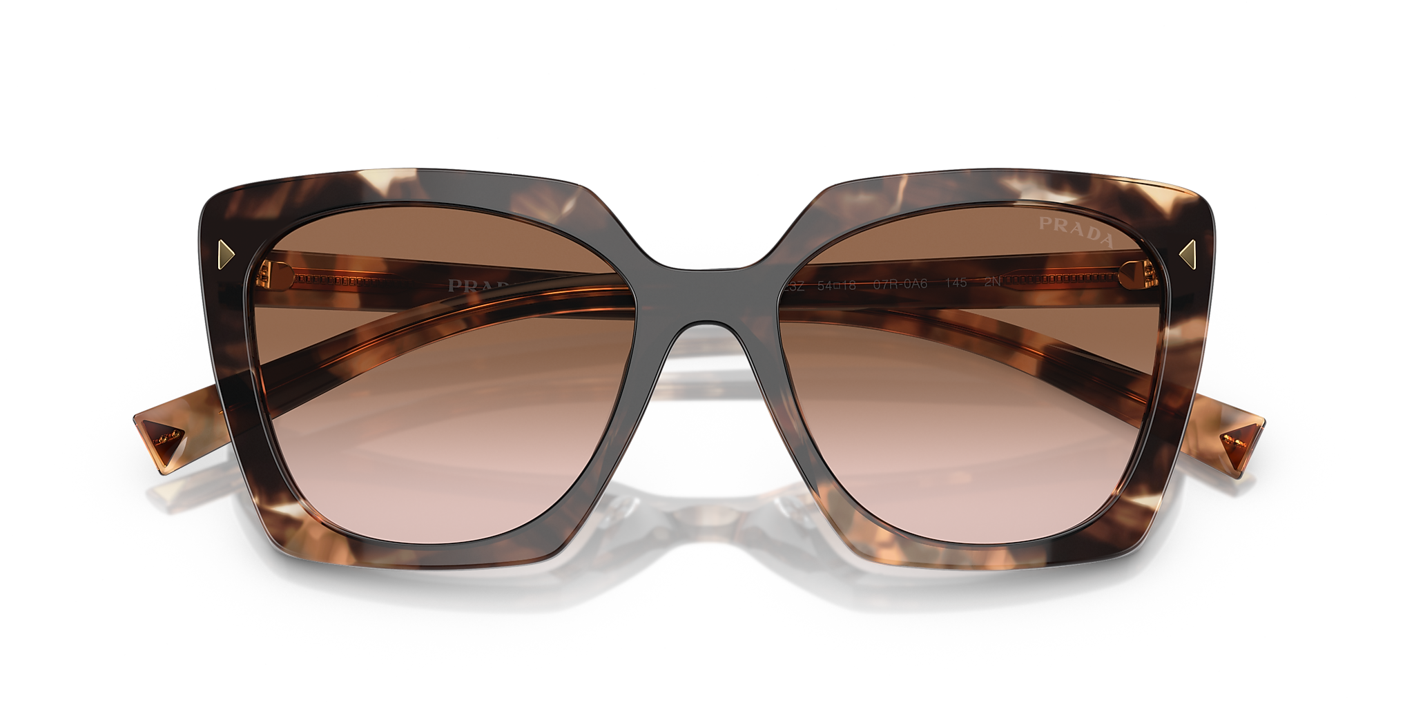 Caramel Tortoise