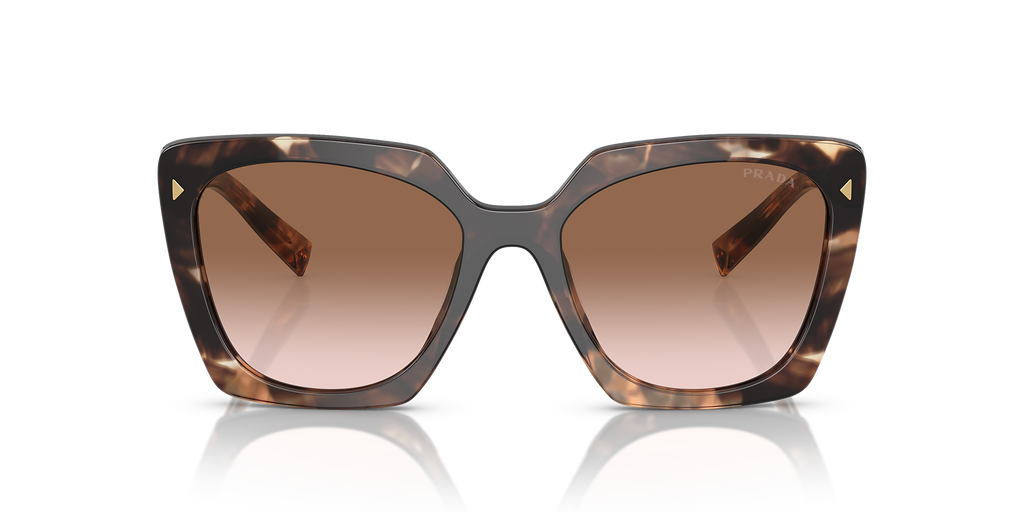 Caramel Tortoise