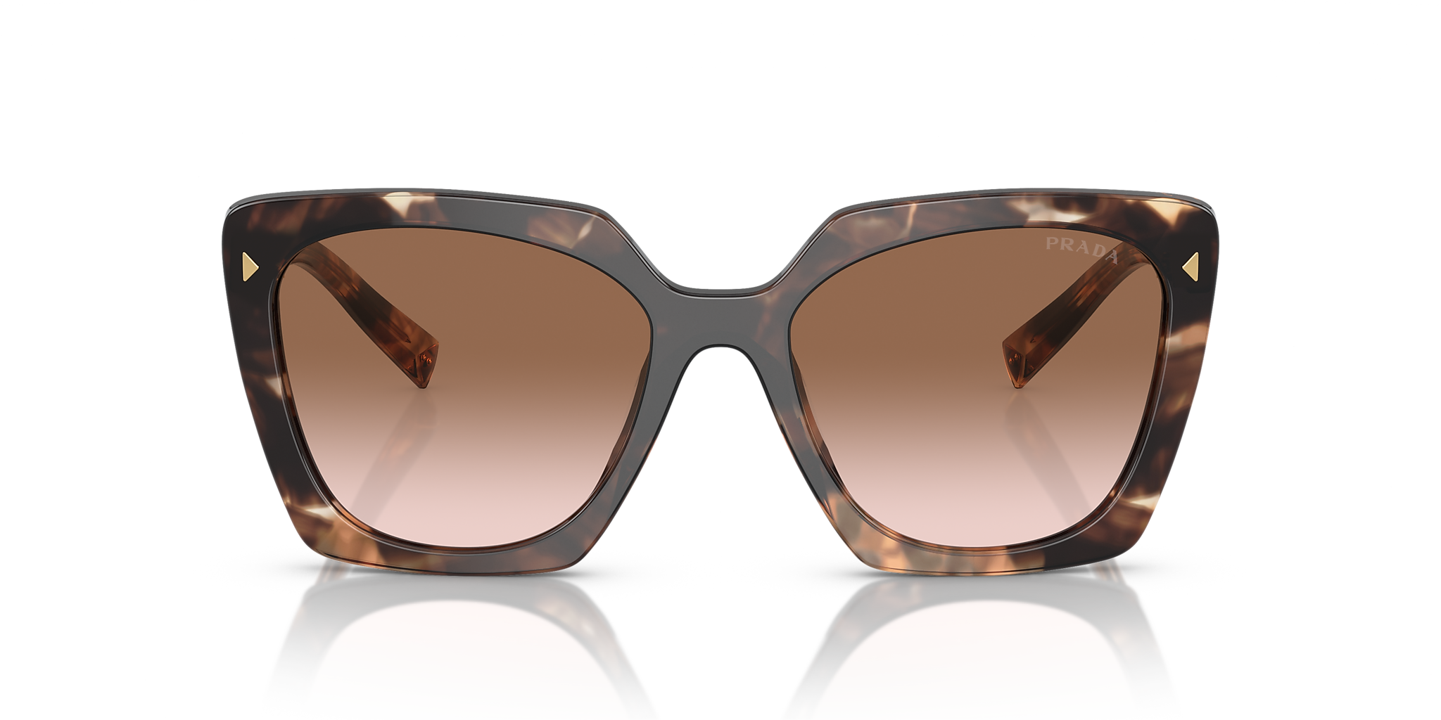 Caramel Tortoise