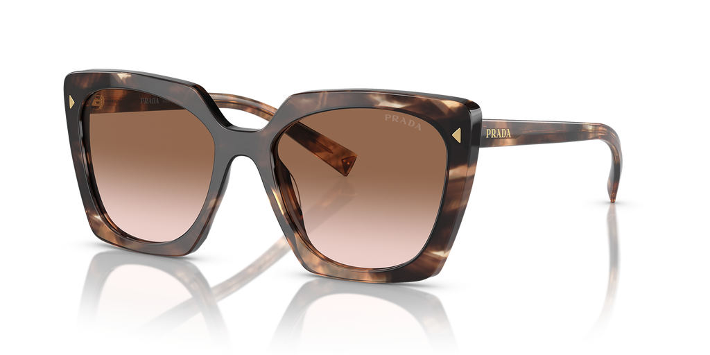 Caramel Tortoise