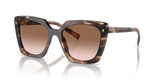 Caramel Tortoise  - Brown Gradient