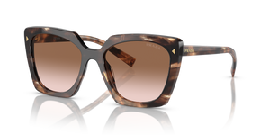 Caramel Tortoise  - Brown Gradient