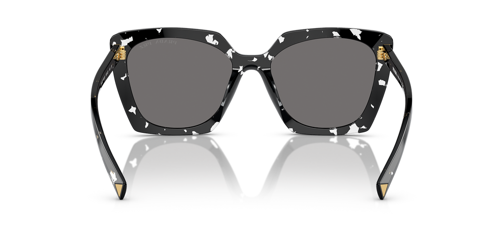 Black Crystal Tortoise