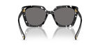 Black Crystal Tortoise