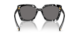Black Crystal Tortoise