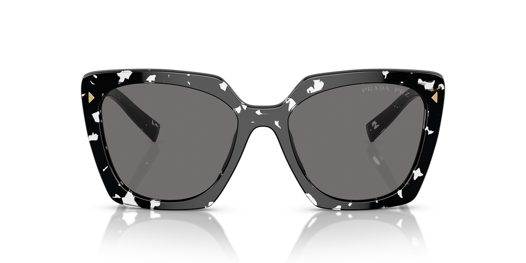 Black Crystal Tortoise