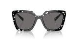 Black Crystal Tortoise