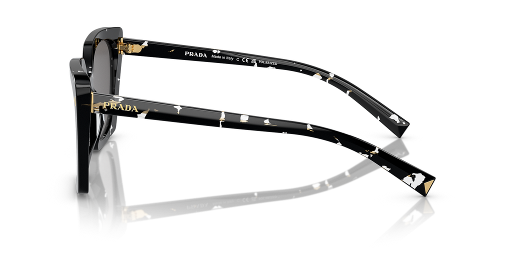 Black Crystal Tortoise