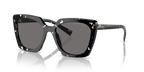 Black Crystal Tortoise
