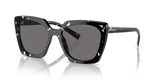 Black Crystal Tortoise