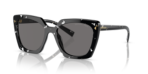 Black Crystal Tortoise  - Dark Grey Polarized