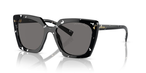 Black Crystal Tortoise