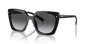 Black  - Polar Grey Gradient