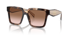Caramel Tortoise