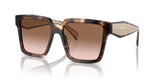 Caramel Tortoise