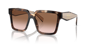 Caramel Tortoise  - Brown Gradient