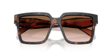 Mauve Tortoise