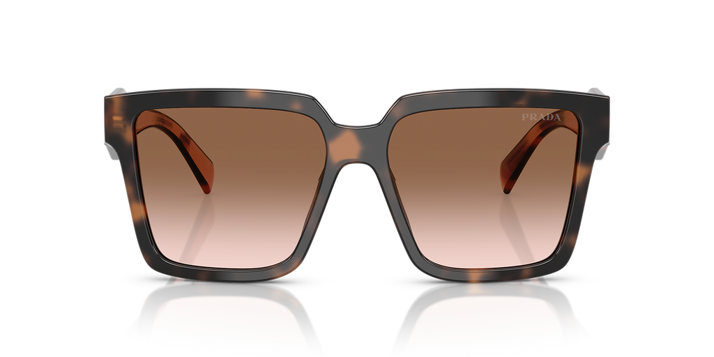 Mauve Tortoise