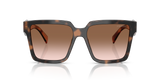 Mauve Tortoise