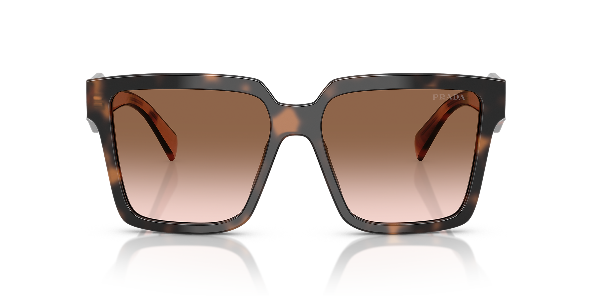 Mauve Tortoise