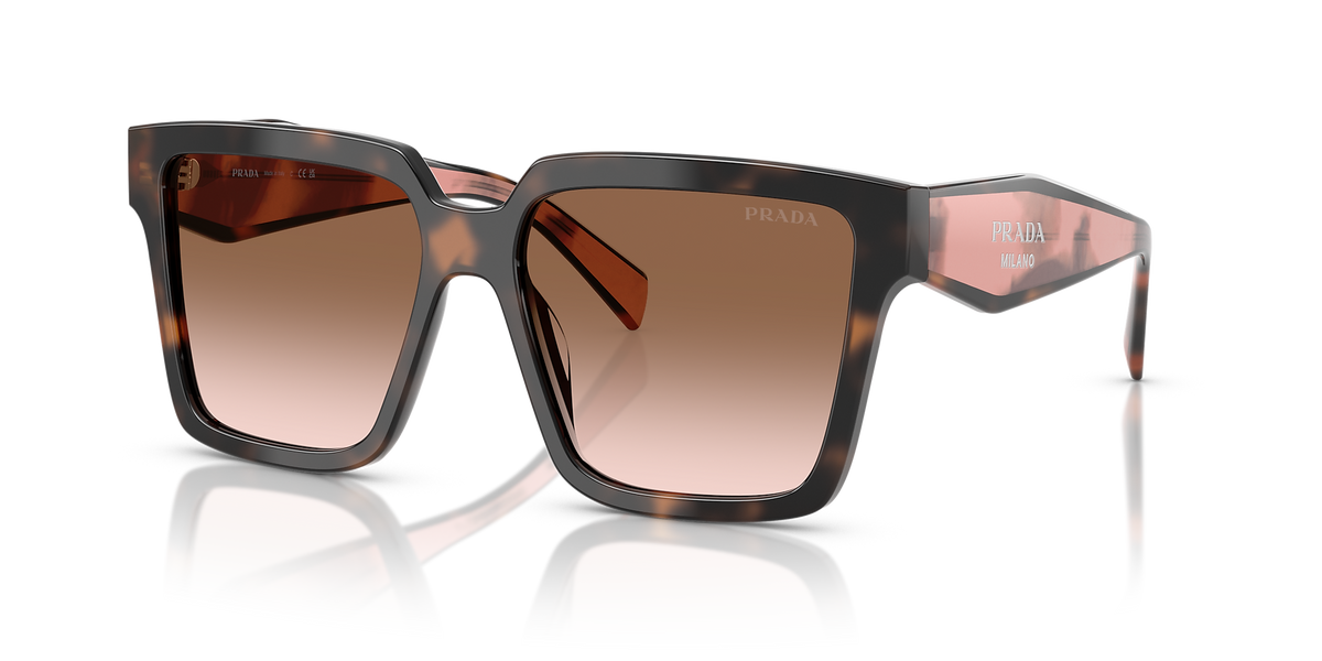 Mauve Tortoise
