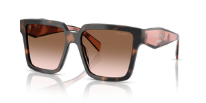 Mauve Tortoise  - Brown Gradient