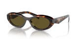 Honey Tortoise  - Dark Brown