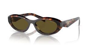 Honey Tortoise  - Dark Brown