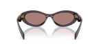 Root Tortoise