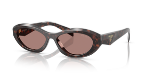 Root Tortoise  - Light Brown