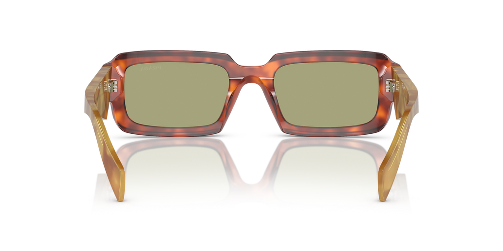 Cognac Tortoise