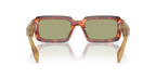 Cognac Tortoise