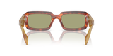 Cognac Tortoise