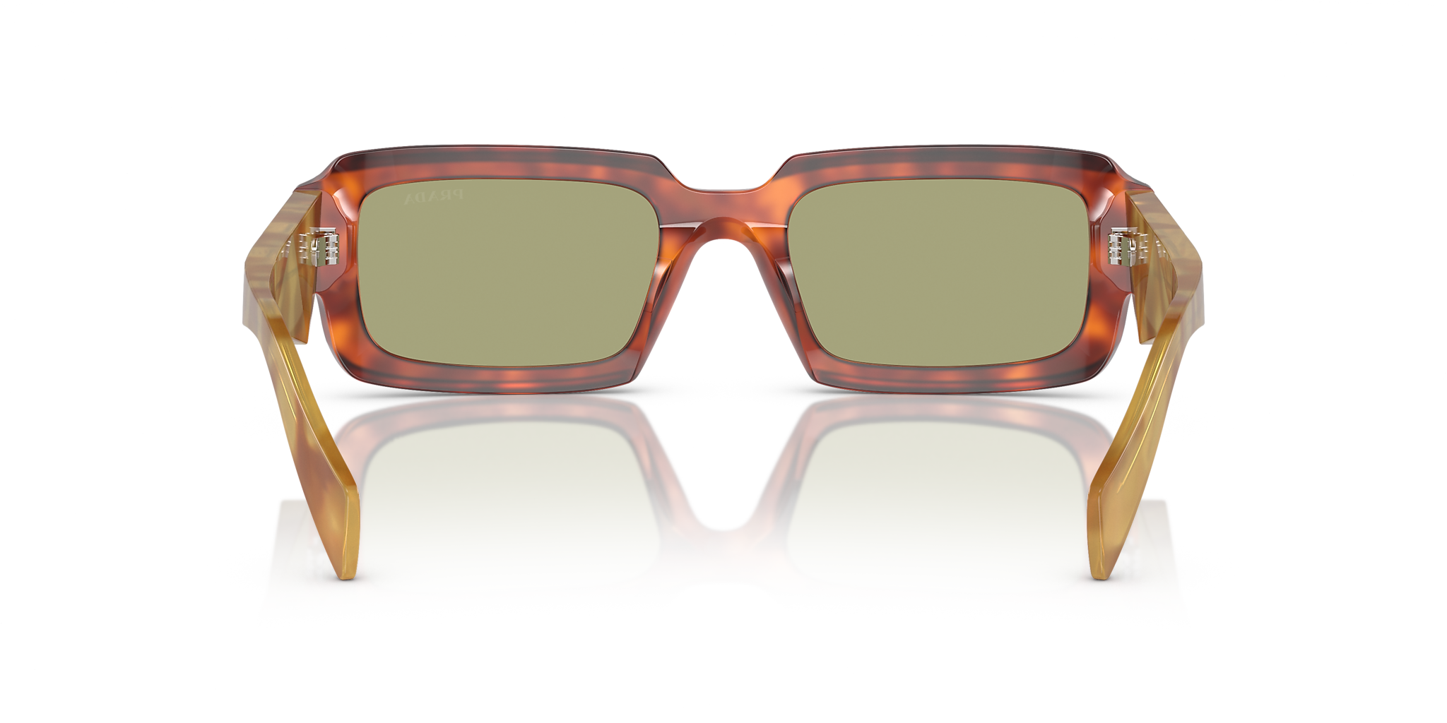 Cognac Tortoise