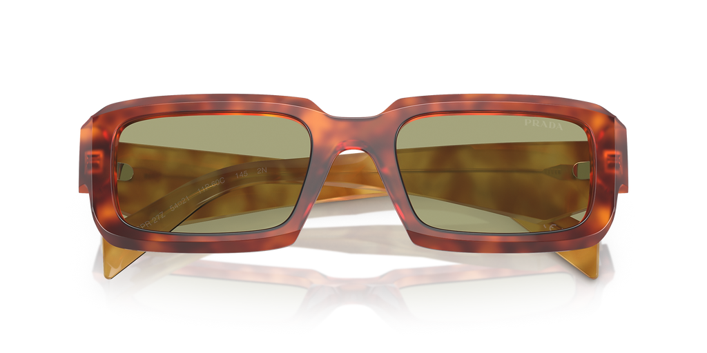 Cognac Tortoise