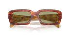Cognac Tortoise