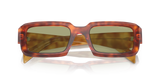 Cognac Tortoise
