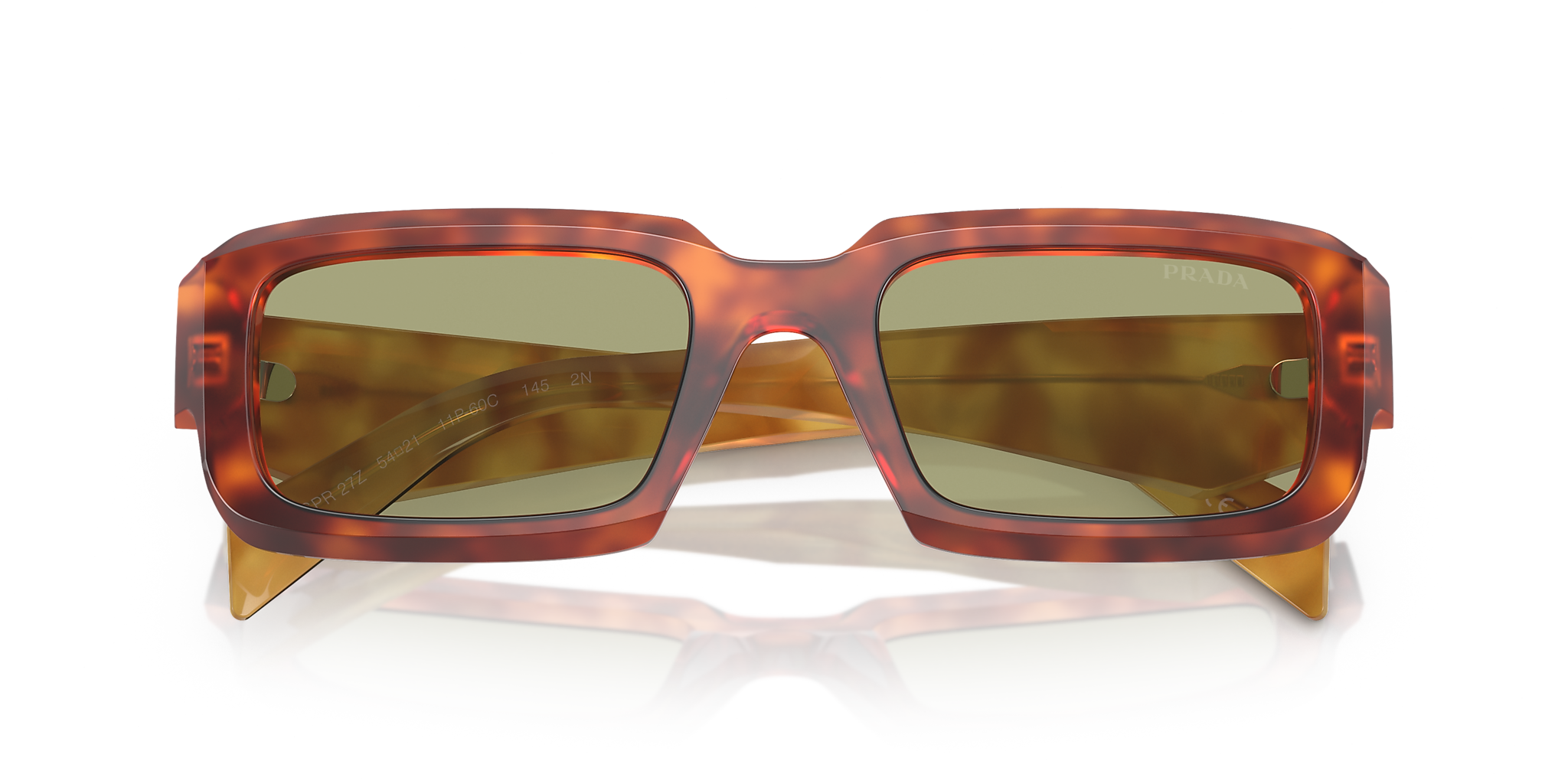 Cognac Tortoise