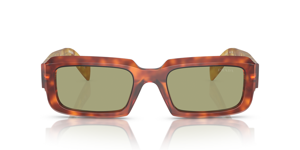 Cognac Tortoise