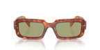 Cognac Tortoise