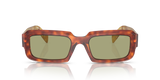 Cognac Tortoise