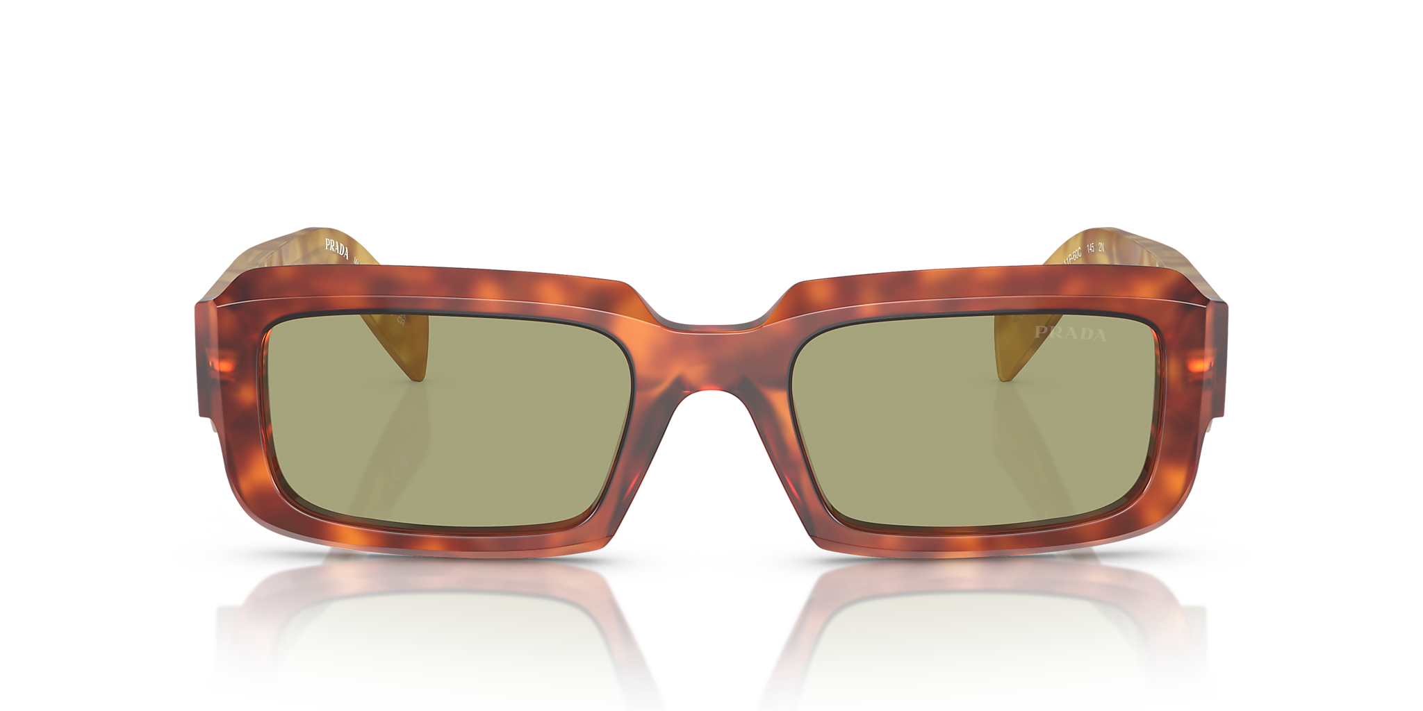 Cognac Tortoise