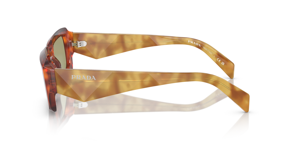 Cognac Tortoise