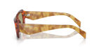 Cognac Tortoise