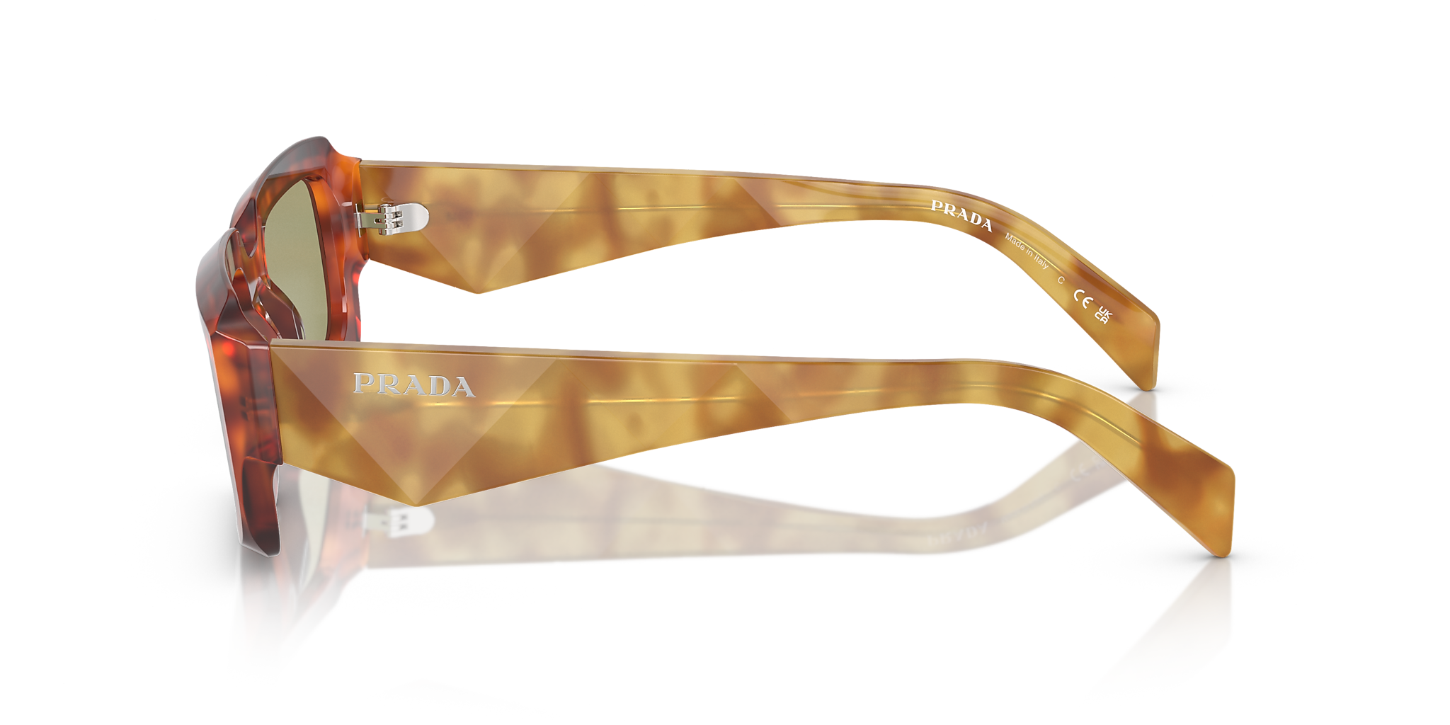 Cognac Tortoise