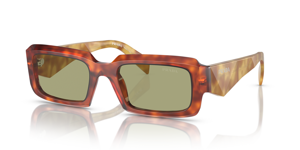 Cognac Tortoise