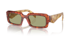Cognac Tortoise