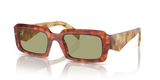 Cognac Tortoise